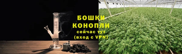 прущие грибы Абаза