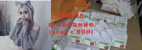 прущие грибы Абаза