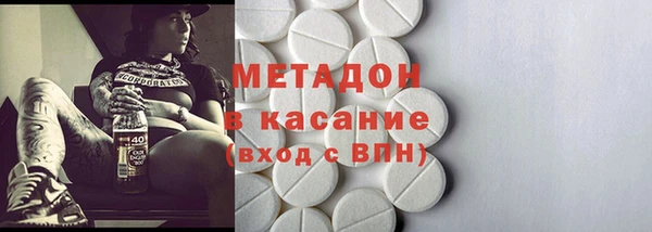 прущие грибы Абаза
