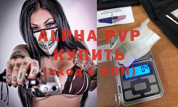 прущие грибы Абаза