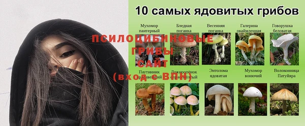 герыч Абинск