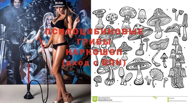 прущие грибы Абаза