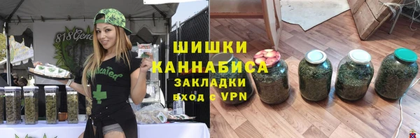 прущие грибы Абаза