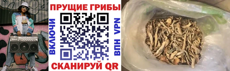 наркошоп  Арсеньев  Галлюциногенные грибы ЛСД 